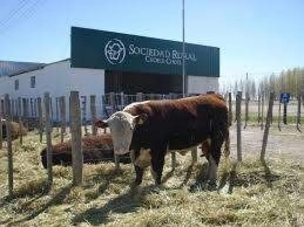Mañana viernes, charlas técnicas en la Sociedad Rural