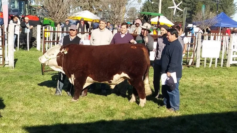Un gran nivel fue el presentado en la Expo