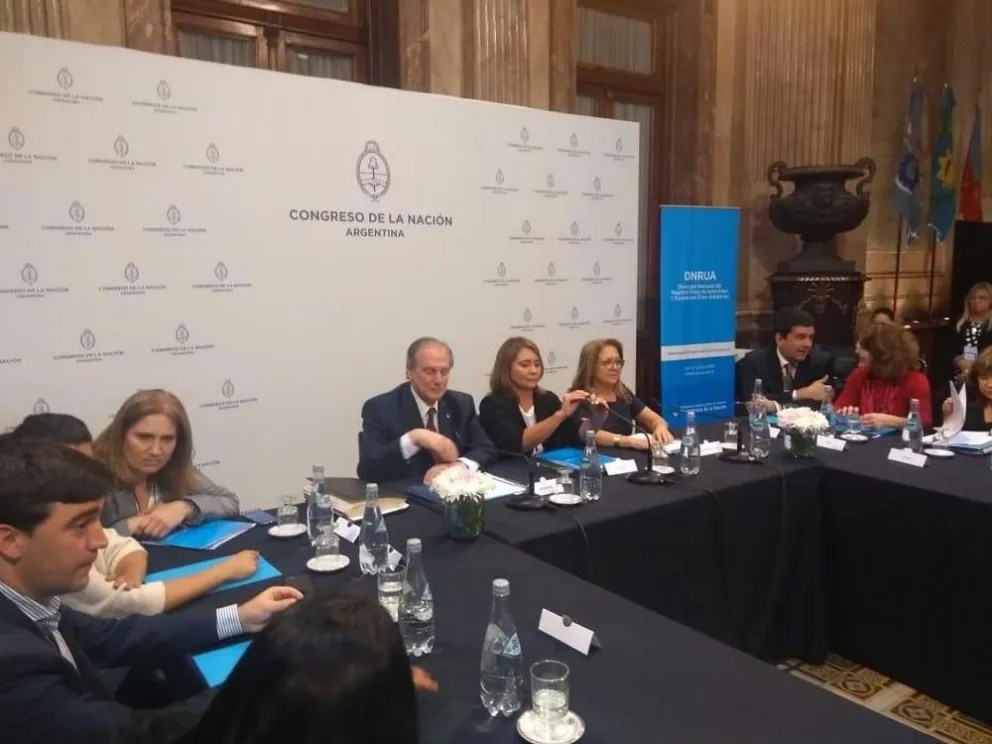 Adopción: Luego de dos años Río Negro deja la presidencia nacional del Consejo Consultivo