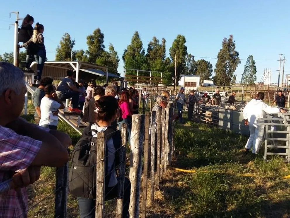 Buena participación en la Jornada de Campo Ovina