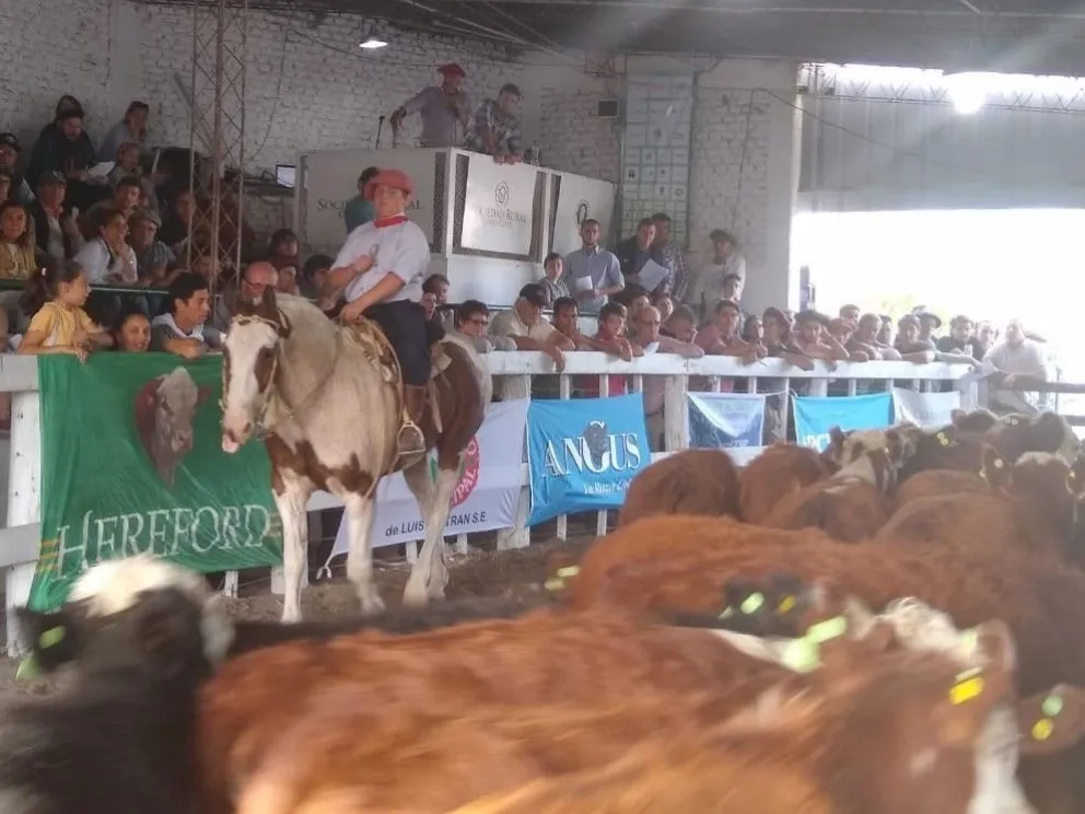 Fiesta del Ternero: balance ampliamente satisfactorio