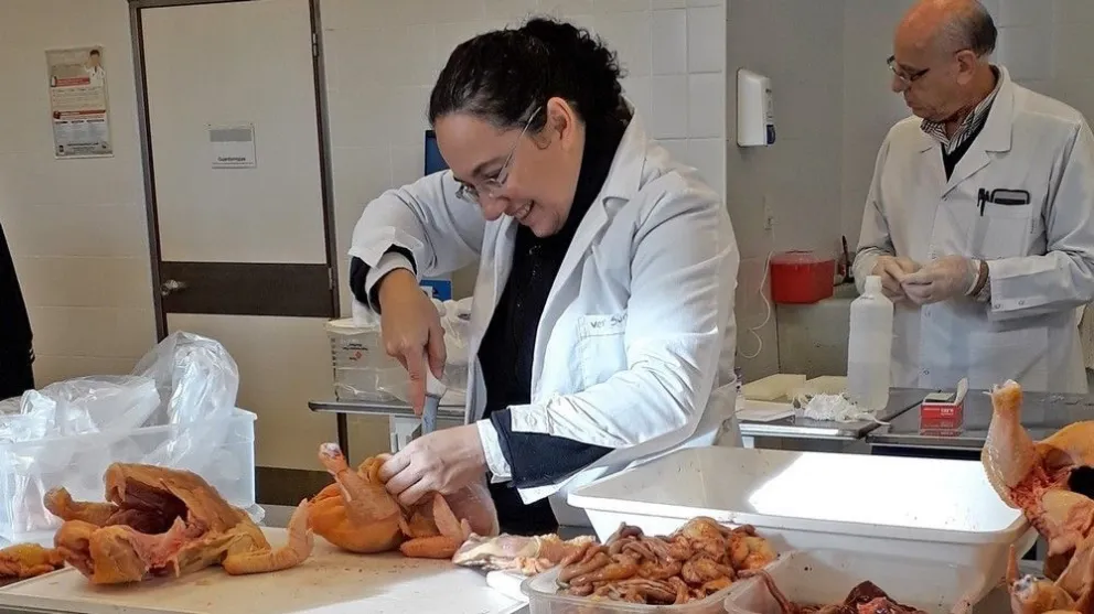 Aprovechamiento de bagazos agroindustriales en la alimentación de pollos