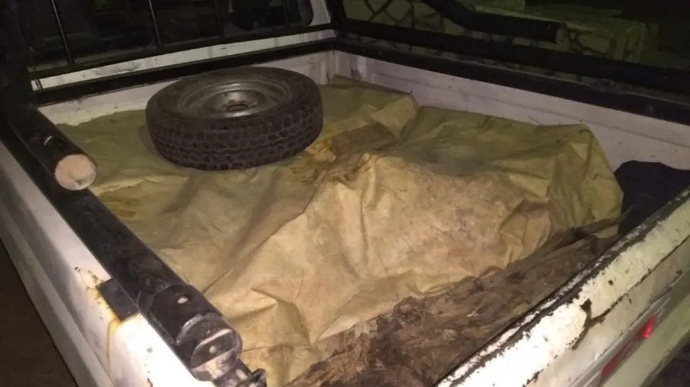 Senasa decomisó 350 kilos de carne que era ingresada desde Mendoza al Alto Valle