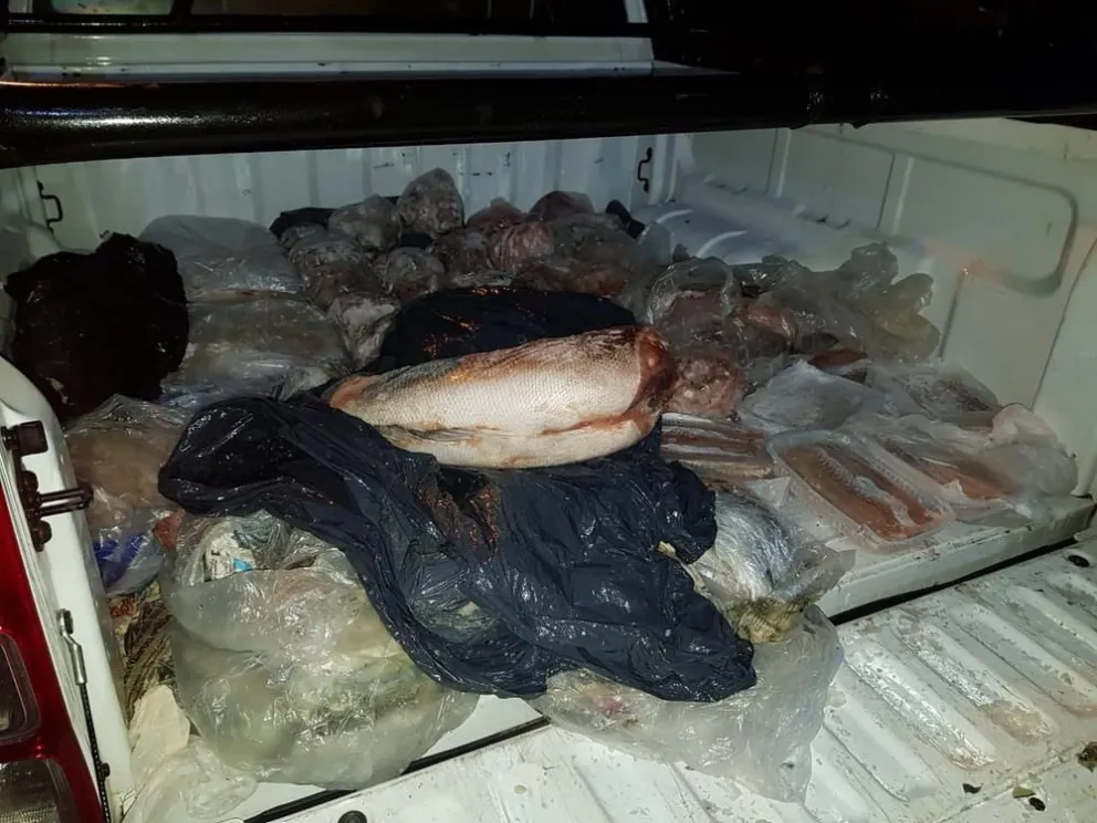Decomisos de pescados y cítricos en la región