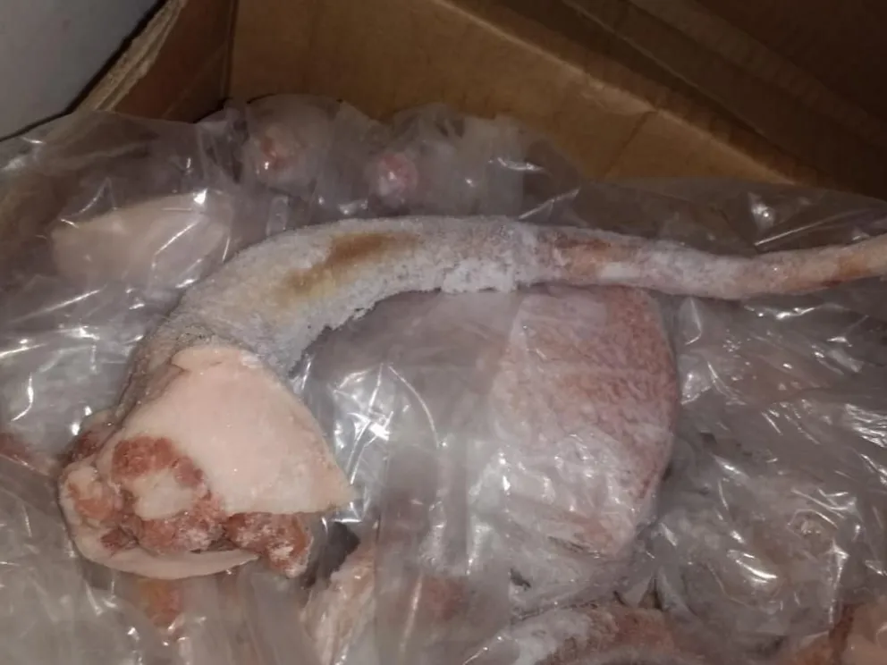 El Senasa detectó mercadería de ingreso prohibido a la Patagonia