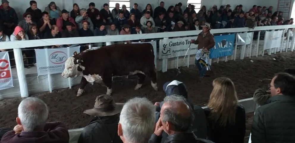 Muy buenos productos y ventas por 8 millones de pesos en la Expo Ganadera