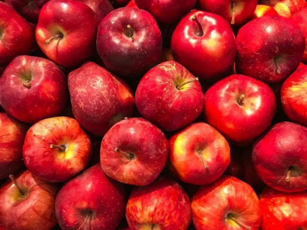 Río Negro aporta  más del 80% de las manzanas al país