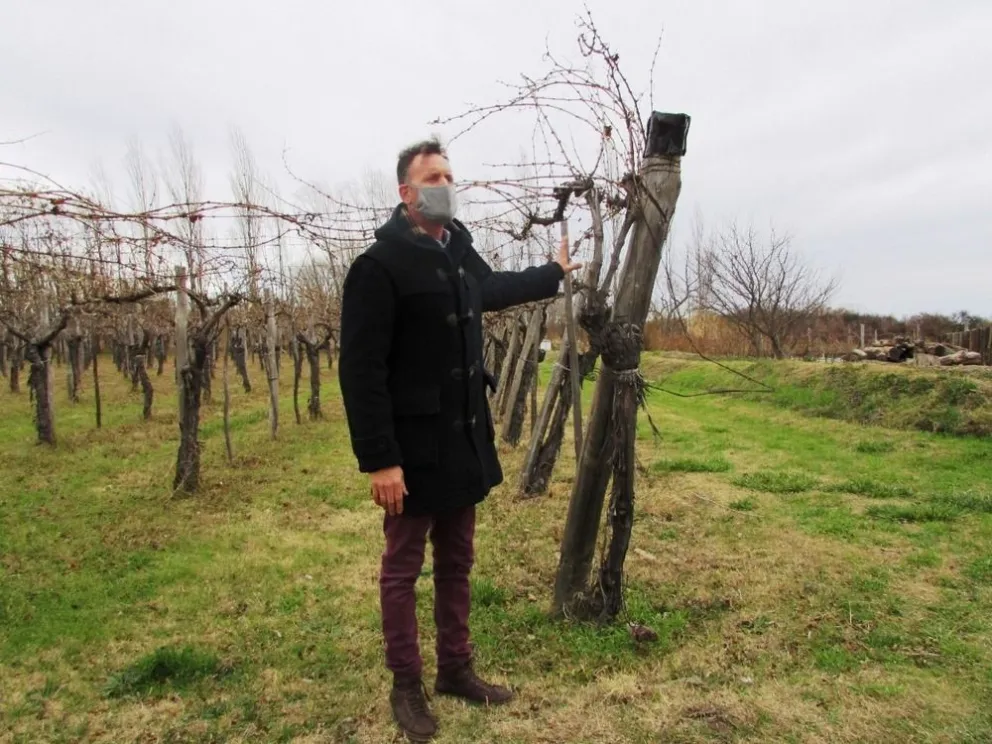 En plena pandemia, una bodega inspirada en el trinar de los pájaros abrió en Río Colorado