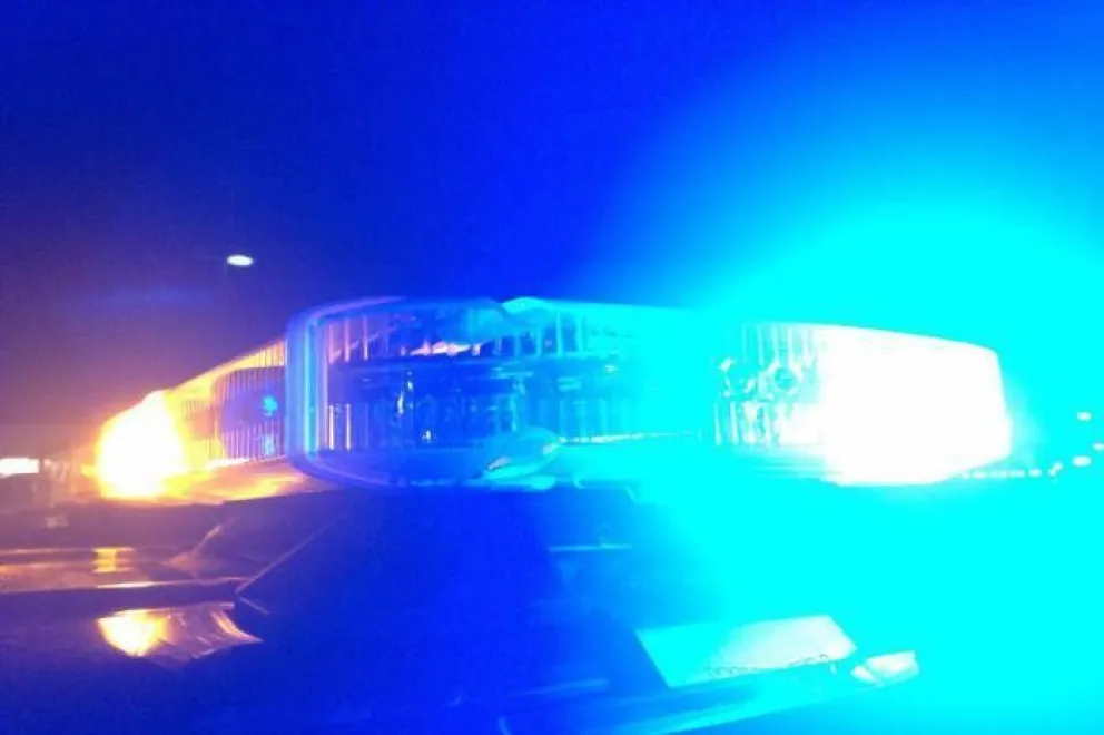 Pomona: decomisaron jabalíes faenados que eran transportados en una lancha