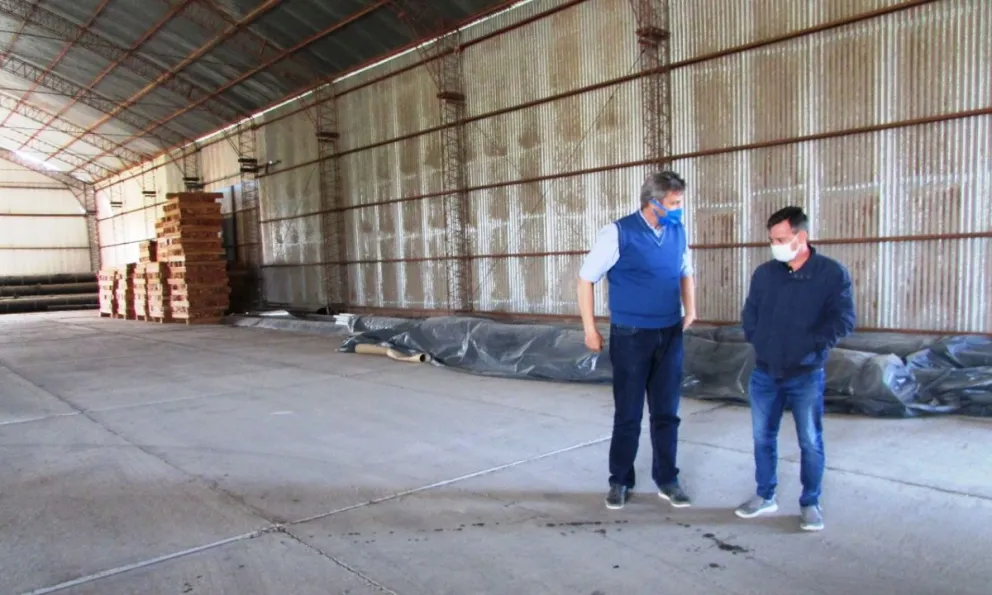 Río Colorado instalará un puesto de certificación de cebollas