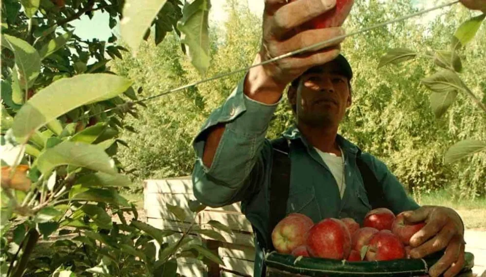 Los consumidores pagaron en junio 3,5 veces más de lo que cobraron los productores