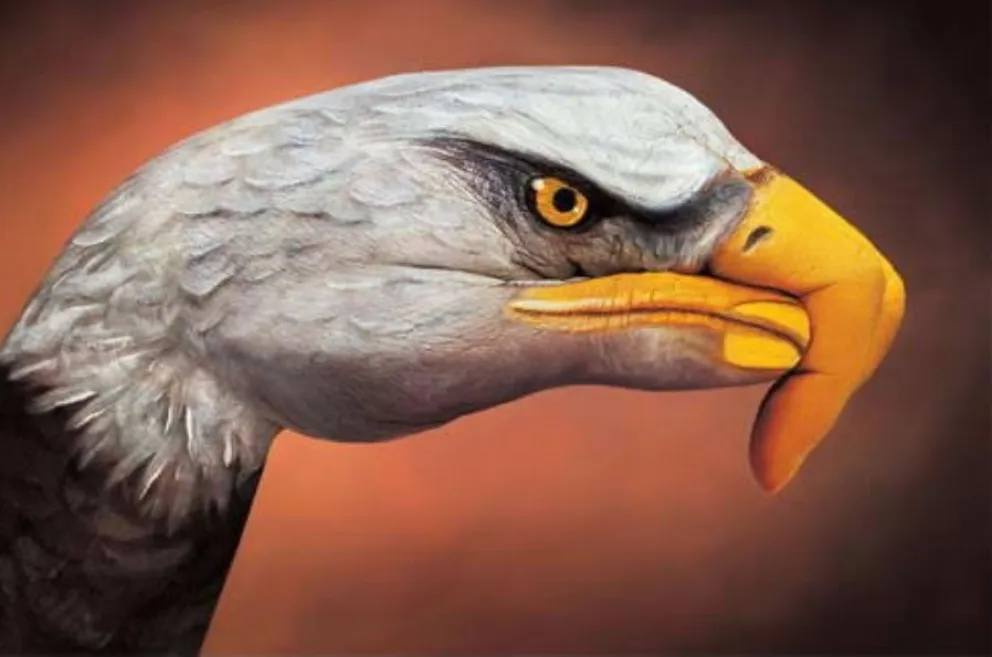 La percepción y la realidad