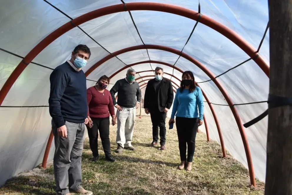 Instalaron un macro tunel para el Programa "Río Negro Nutre" en Río Colorado