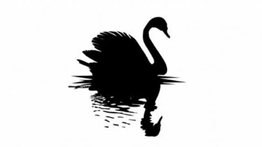 La lógica de las consecuencias no previstas