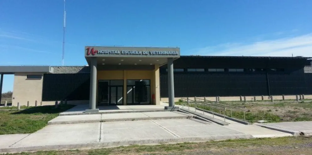 La universidad de Veterinaria está en Choele Choel 