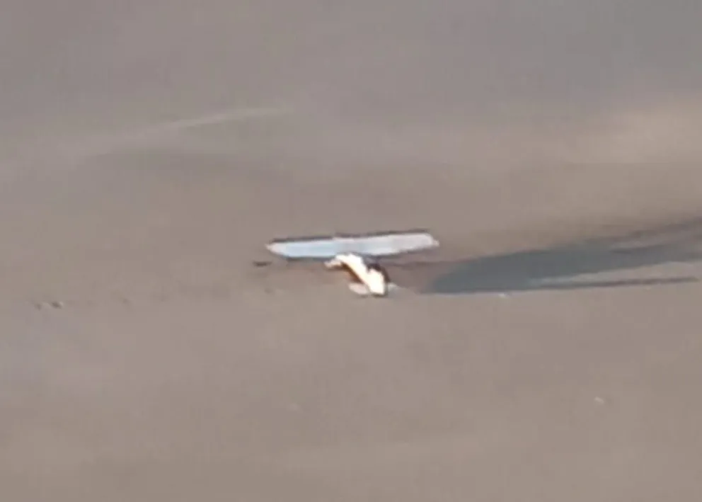 Importante labor del aeroclub de Choele en la búsqueda de una aeronave