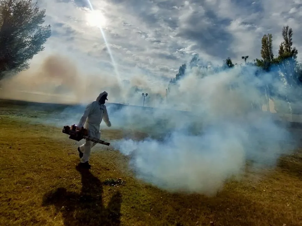 Realizan fumigaciones en barrios de Choele Choel