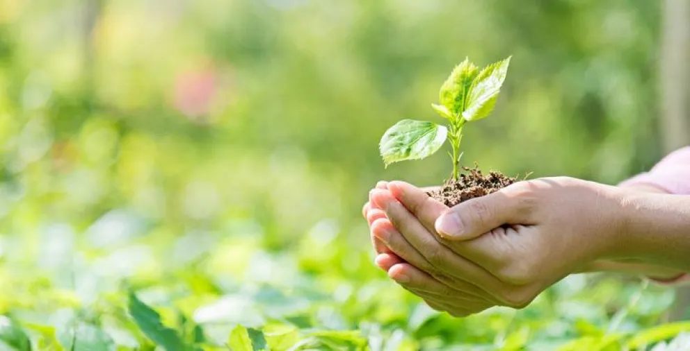 Día Mundial del Medio Ambiente: organizan una jornada de reflexión en la Chacra Experimental