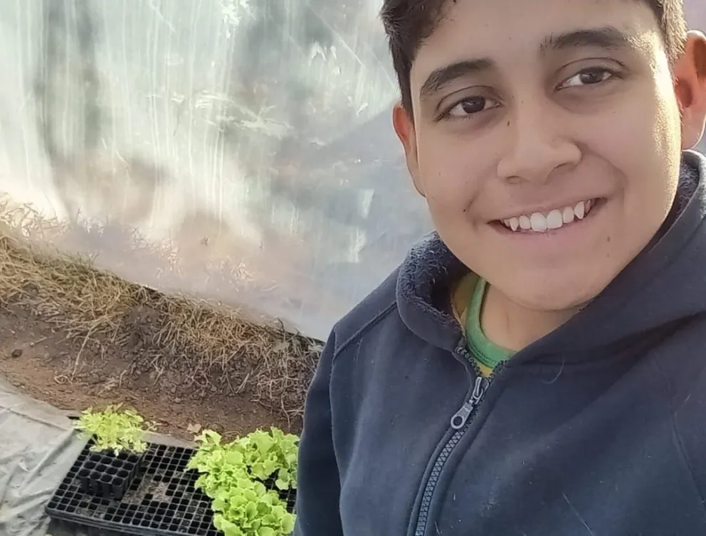 Joven emprendedor del Valle Medio incursiona en la producción de hortalizas bajo cubierta