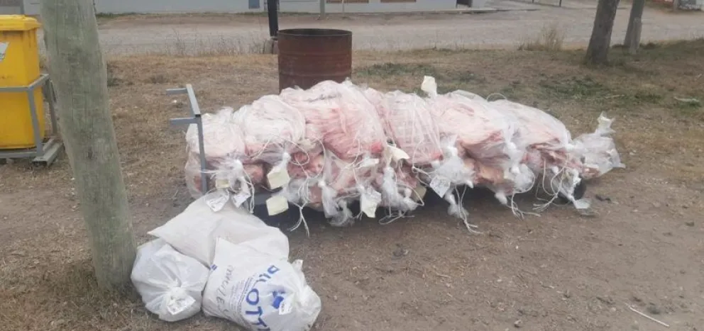 Se decomisaron más de 480 kilos de carne en Río Colorado