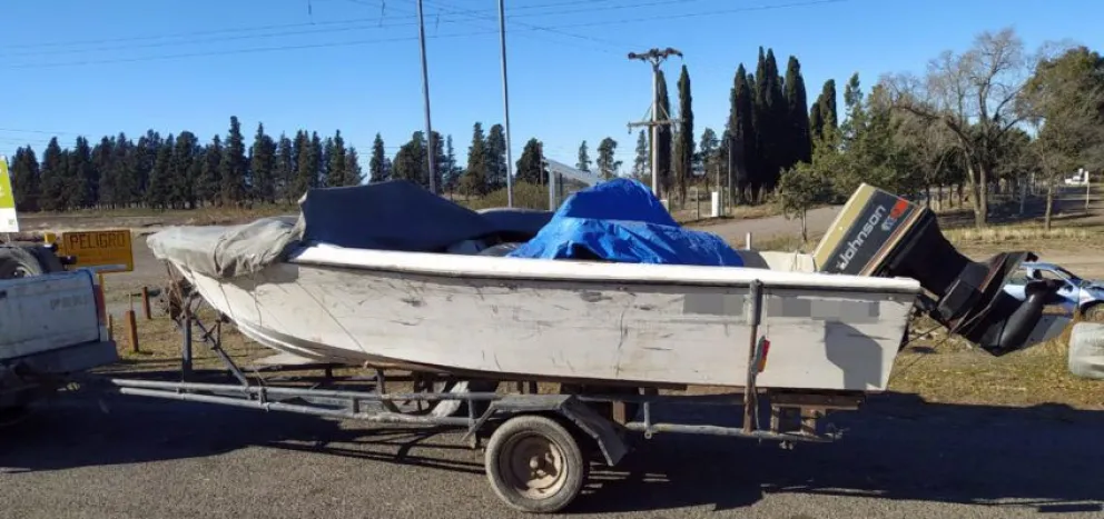 Pomona: decomisan jabalíes faenados que eran transportados en una lancha