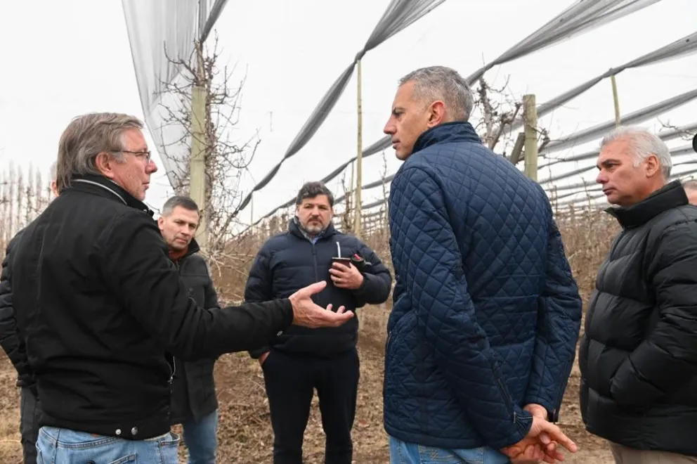 Ante riesgos por cambio climático, el sector frutícola recibirá apoyo de $1.500 millones