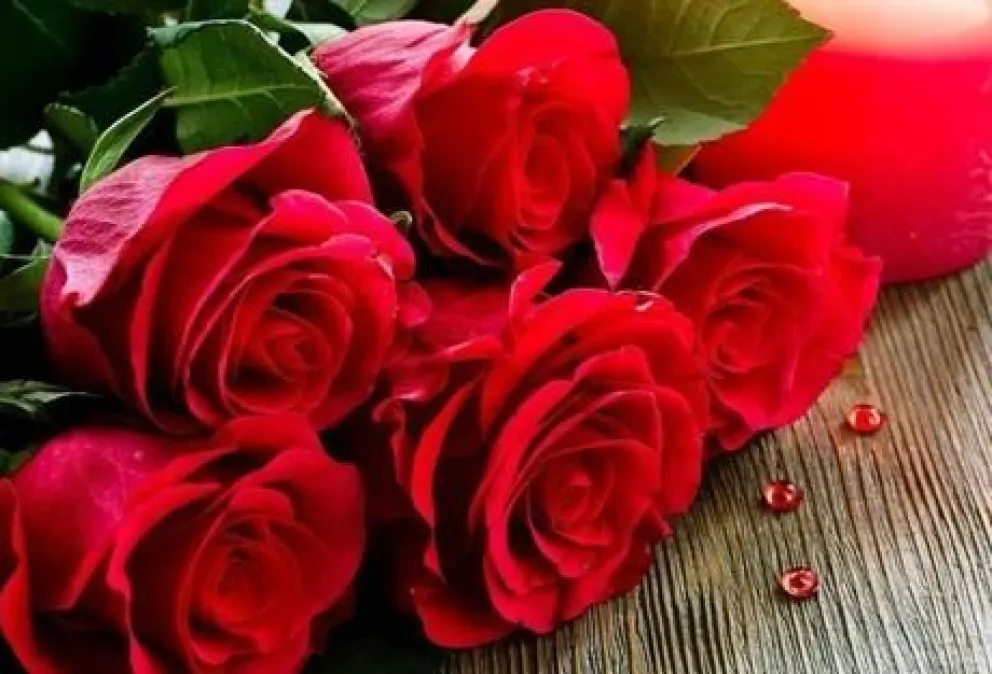 Lecturas y lectores: "Siete rosas más tarde" de Aida Arias