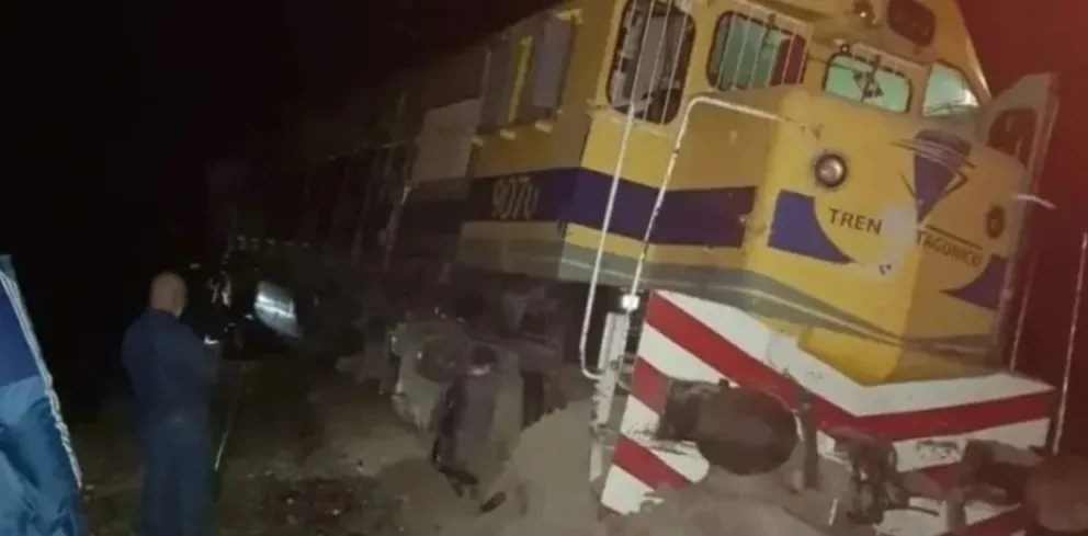 El Tren Patagónico impactó contra un toro que se cruzó en la vía y descarriló
