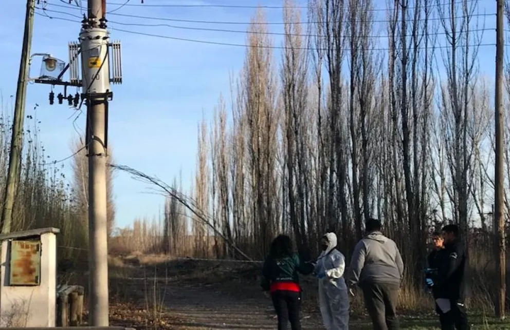 Trágico desenlace tras un intento de robo en instalaciones eléctricas en el Alto Valle