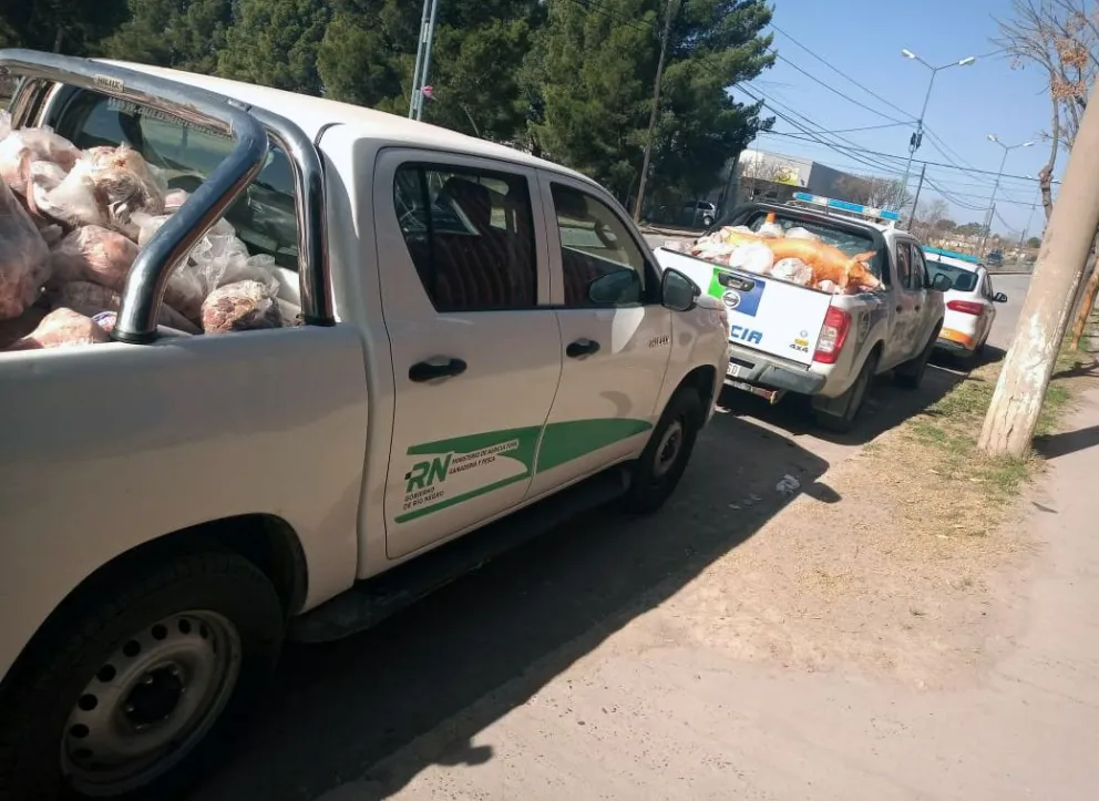 Decomisaron más de 400 kilos de carne en mal estado en carnicerías de Lamarque