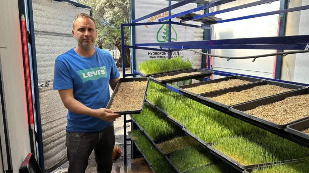 Desarrolló tecnología para forraje verde hidropónico