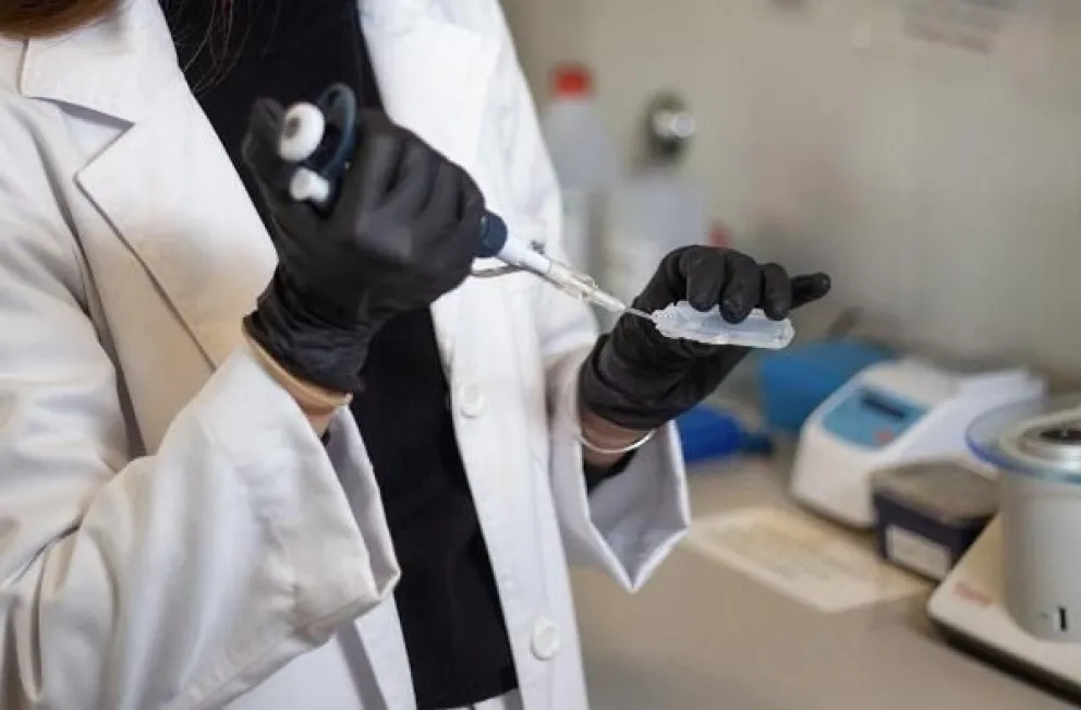 La ANMAT autoriza ensayo clínico de un fármaco contra el dolor crónico