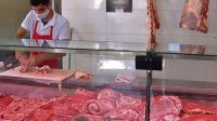 Operativos sorpresa en carnicerías del Valle Medio revelan graves irregularidades