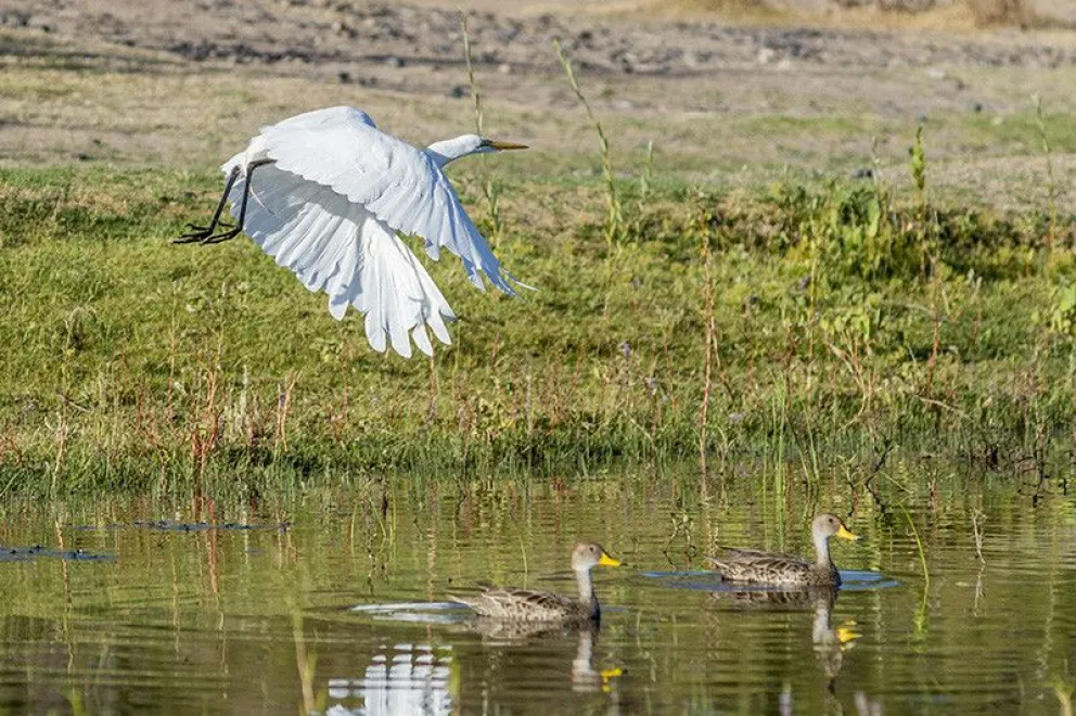 Una oferta original en vacaciones: los balnearios valletanos de Cipolletti a Choele Choel 