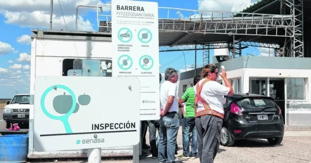 Cinco provincias se unen en contra del ingreso de asado con hueso de La Pampa a la Patagonia 