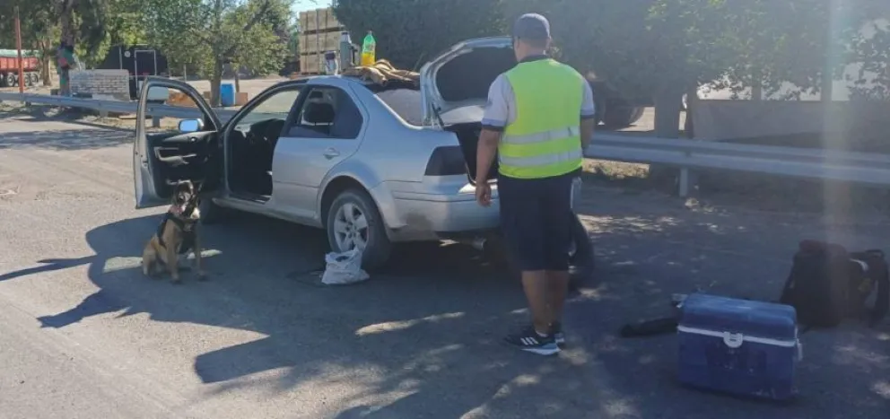 Se dirigían a Las Grutas: perro de la policía detectó estupefacientes en el baúl del auto 