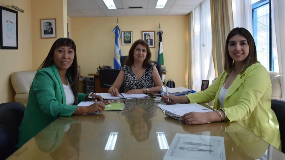 Salud repasó trabajo para los hospital de Choele Choel, Lamarque y Belisle