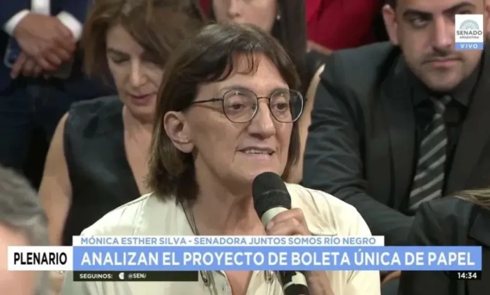 Boleta Única de Papel: la senadora Silva tiene dictamen propio y complica al oficialismo 