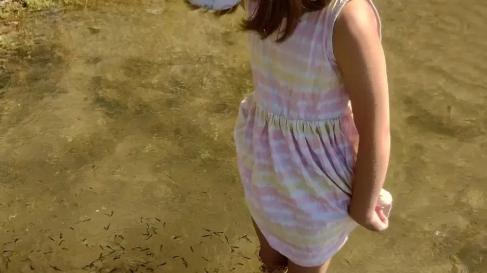 Continúa la siembra de alevines en localidades rionegrinas