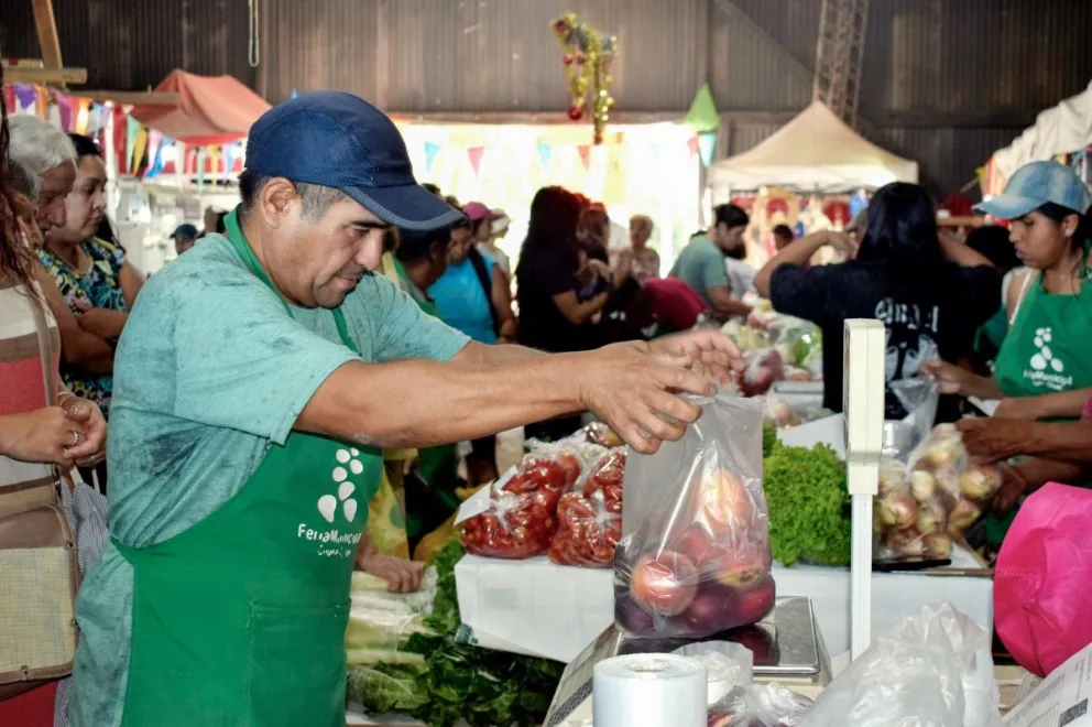 "Esto funcionará muy bien": frutas y verduras del Valle Medio en San Antonio Oeste 