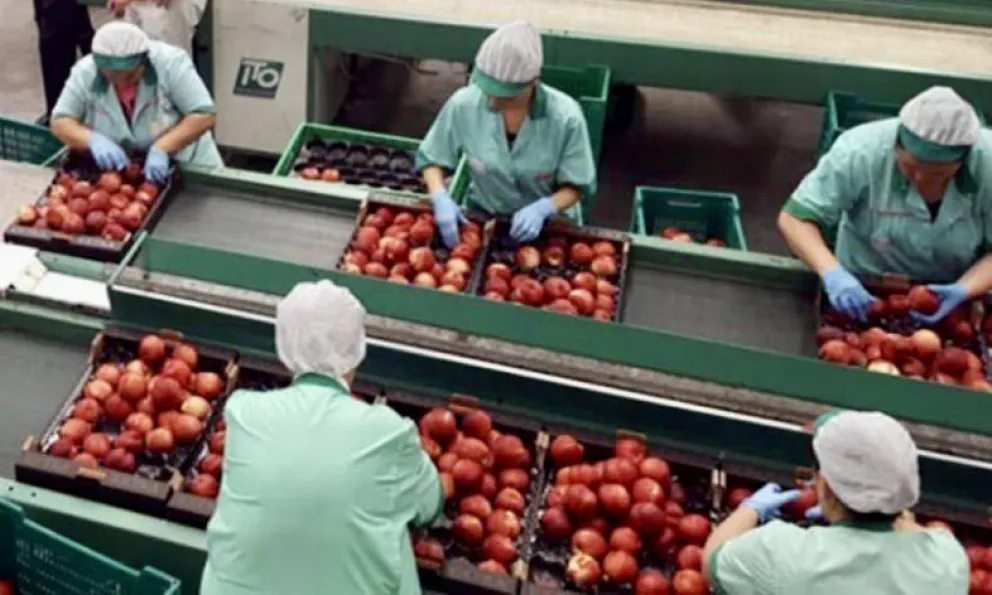 Fruticultura: avanza la creación de la Mesa Nacional de Mosca 