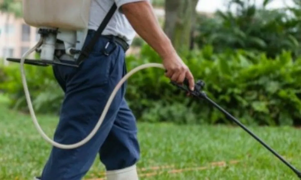 Fumigación domiciliaria en Río Colorado