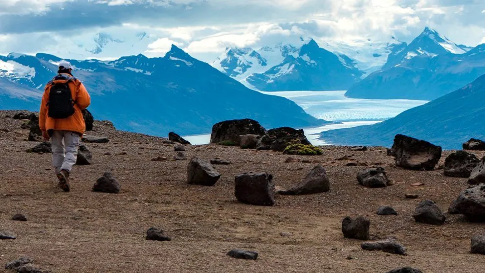 Descubren insectos que convivieron con los últimos dinosaurios