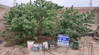 Incautaron más de 5 kilos de marihuana en un operativo policial en Choele Choel 