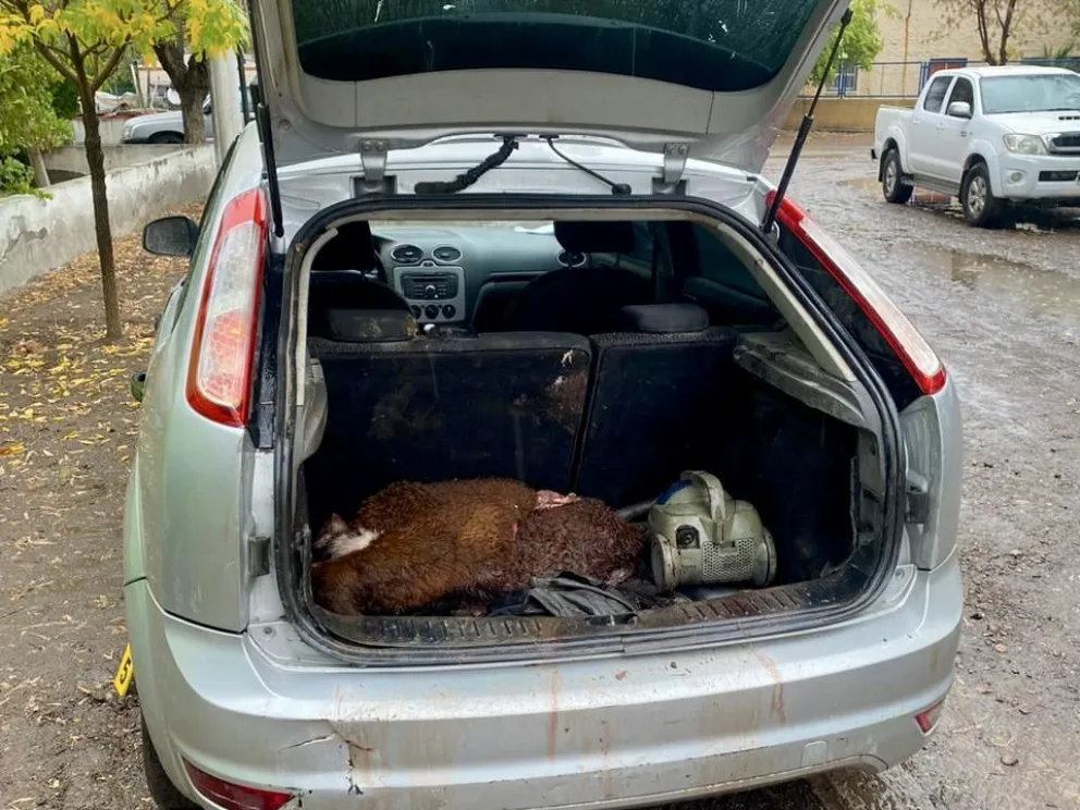 Casos de cuatrerismo en campos de Chelforó