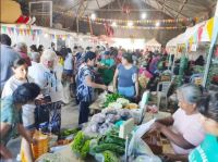 Productores del Valle Medio viajan por última vez a la Feria Municipal de San Antonio Oeste 