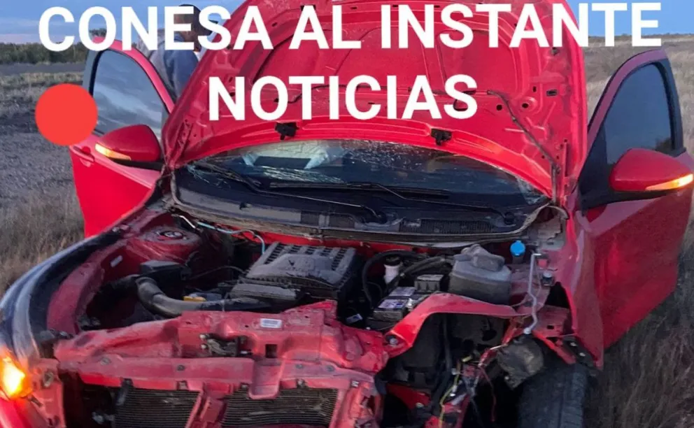 Impactante choque de un vehículo con un jabalí en la Ruta 250