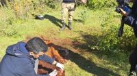 Condenaron a un hombre que mató una vaca Hereford de 150 kilos en Valle Azul