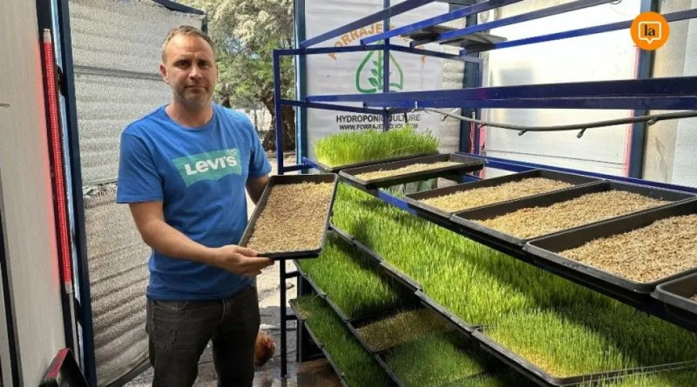 Produce forraje hidropónico para alimentar el ganado 