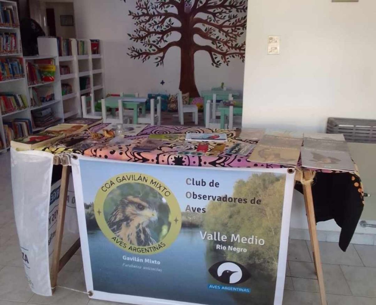 El COA Gavilan Mixto tendrá un stand en la Biblioteca Nicolás Avellaneda 